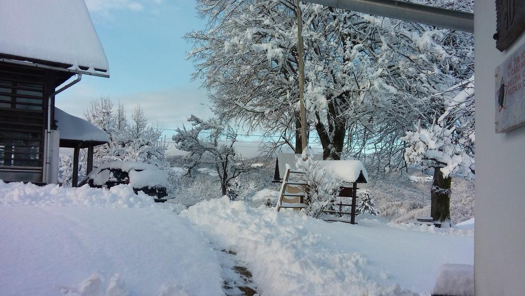 Tourist Farm Ljubica Villa Poljane nad Škofjo Loko Kültér fotó