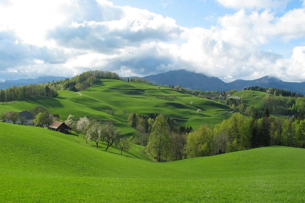 Tourist Farm Ljubica Villa Poljane nad Škofjo Loko Kültér fotó