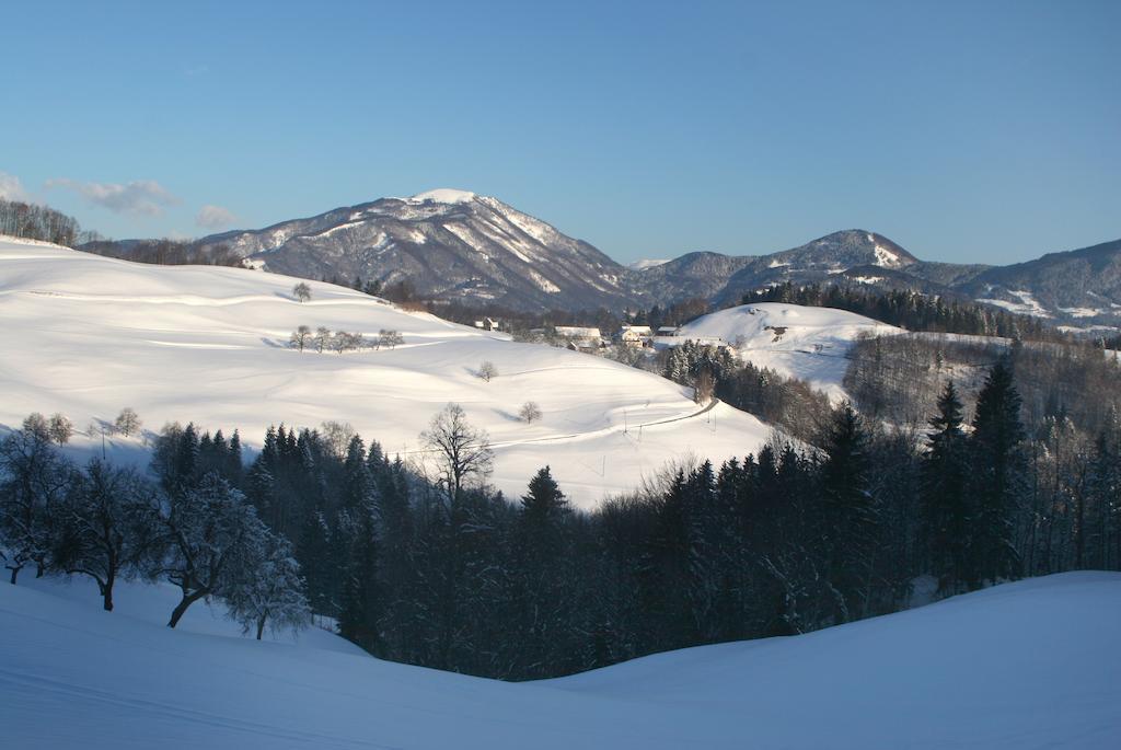 Tourist Farm Ljubica Villa Poljane nad Škofjo Loko Kültér fotó